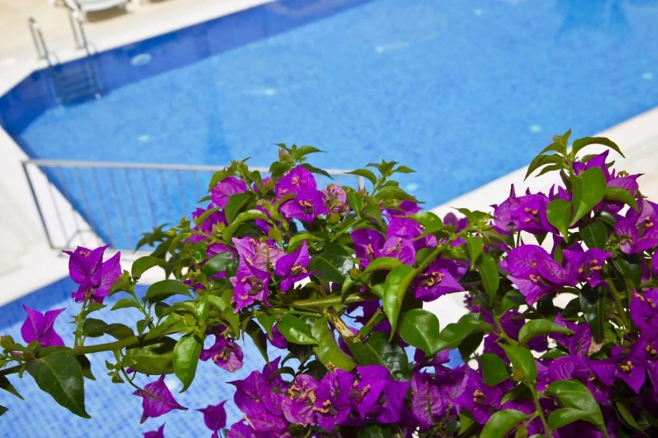 Zuzuu Beach Hotel Ortakent