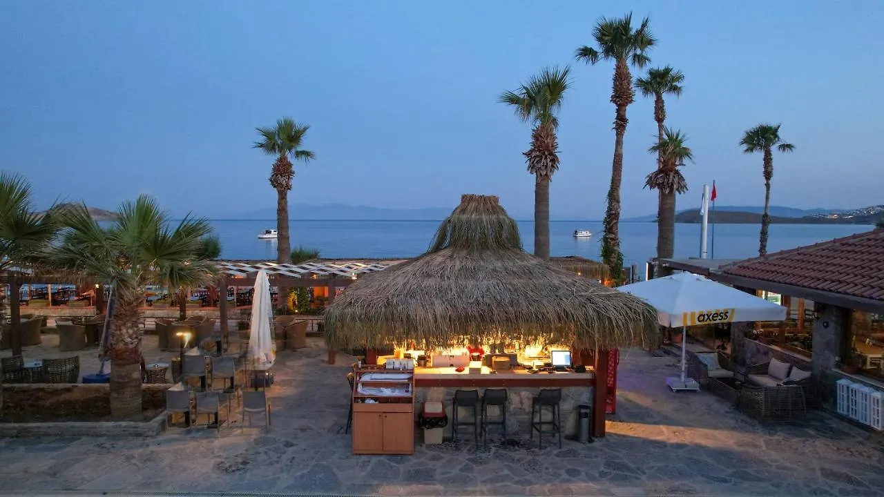 Zuzuu Beach Hotel Ortakent Türkiye