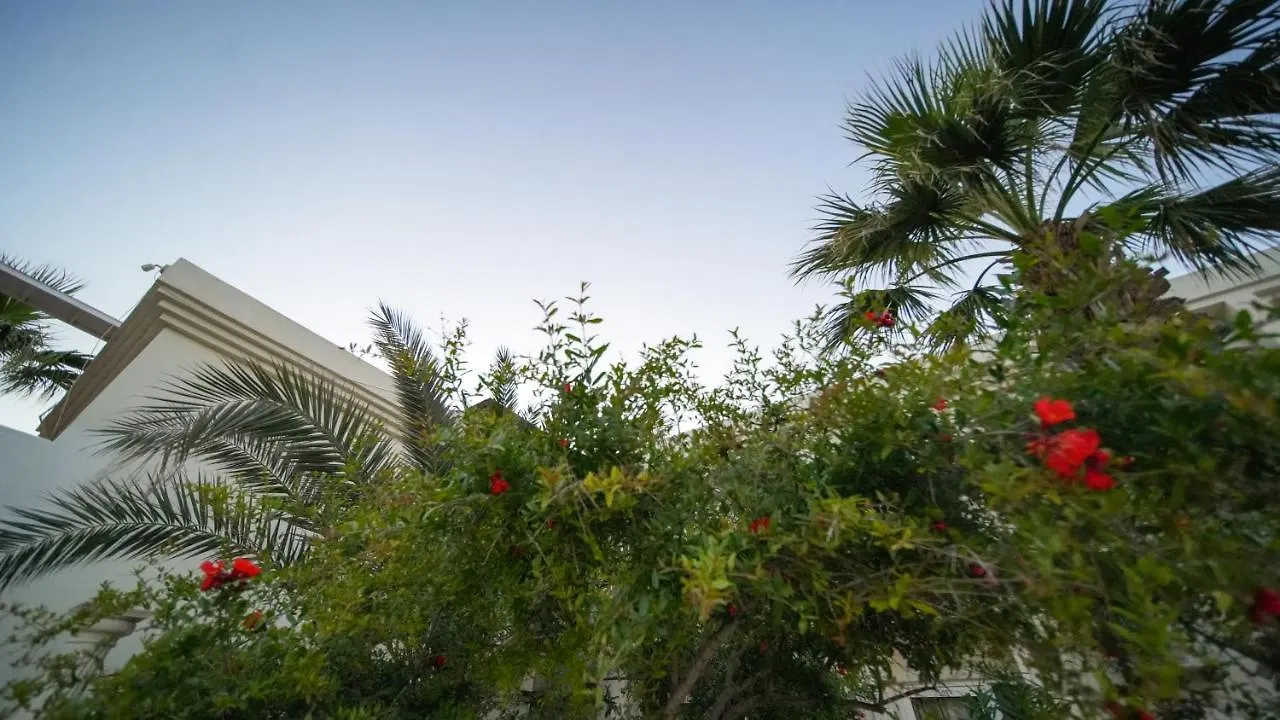 Zuzuu Beach Hotel Ortakent Türkiye
